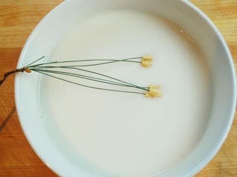 Jatjuk Pine nut porridge Jatjuk recipe Maangchicom