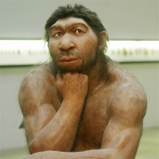 Java Man Evolution frauds Evolution is not science