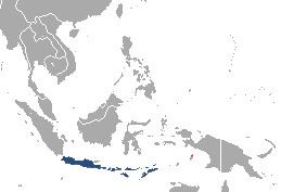 Javanese shrew