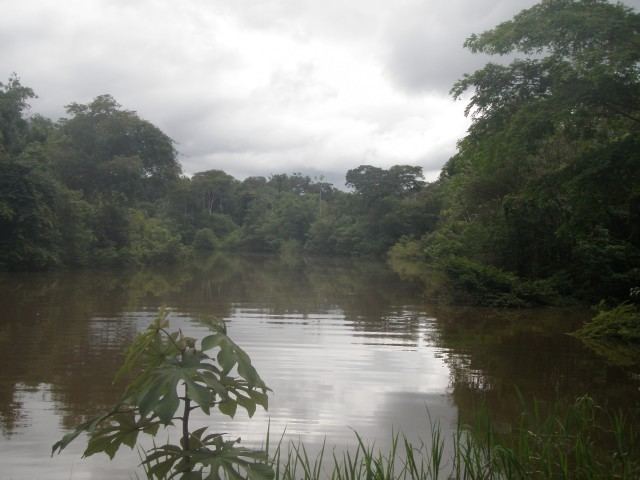 Javary River wwwamazonascolombiacomamazonasengp5imagestou