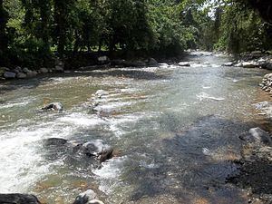 Jayaco River httpsuploadwikimediaorgwikipediacommonsthu