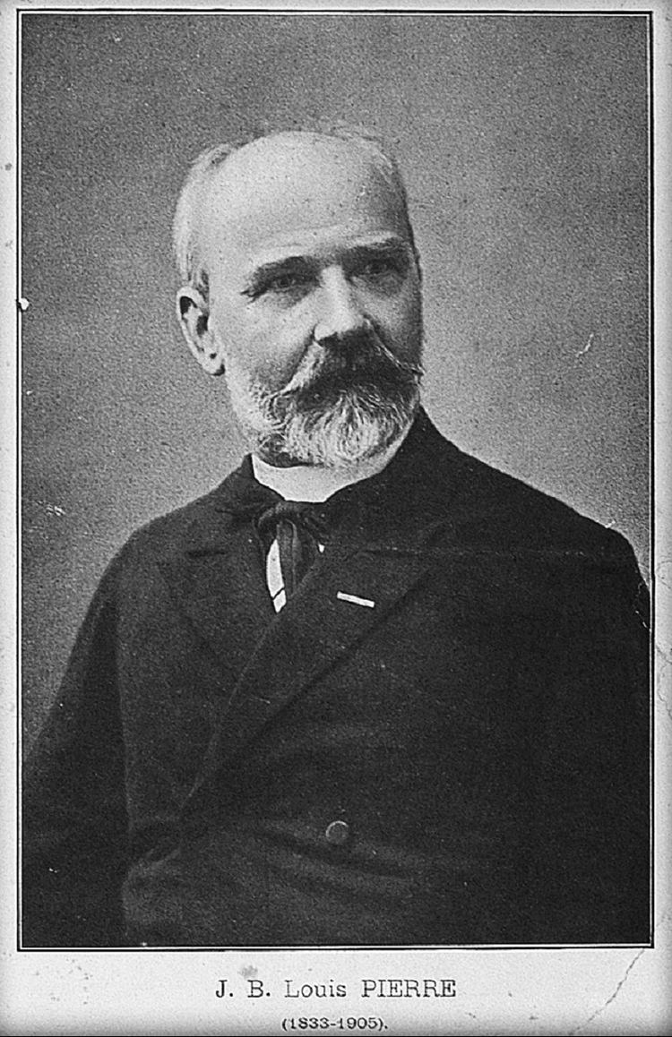 Jean Baptiste Louis Pierre httpsuploadwikimediaorgwikipediacommons66