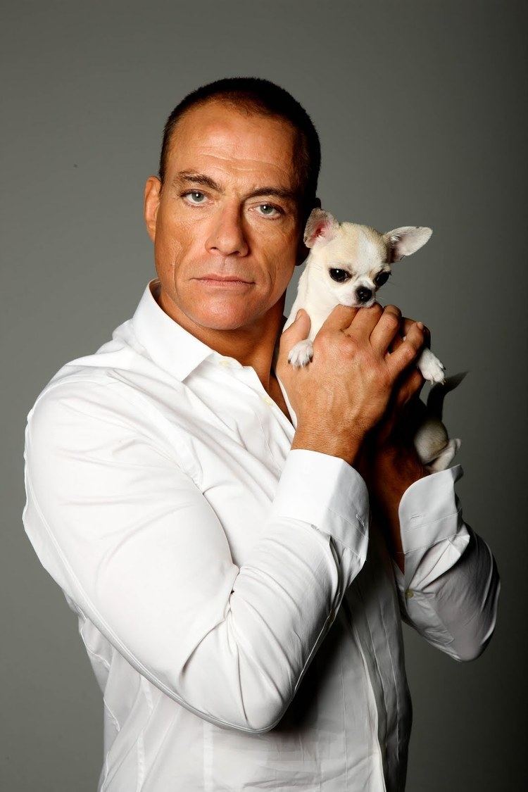 Jean Claude The Best JeanClaude Van Damme Quotes of All Time