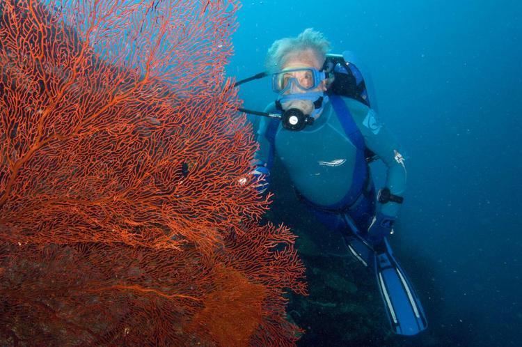 Jean-Michel Cousteau JeanMichel Cousteaus Secret Ocean 3D The ocean as never seen