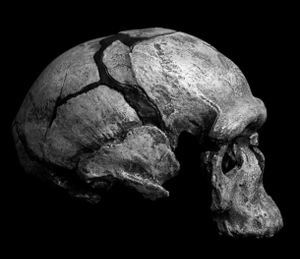 Jebel Irhoud The Origin of Modern Humans The Fossil Evidence Part 1