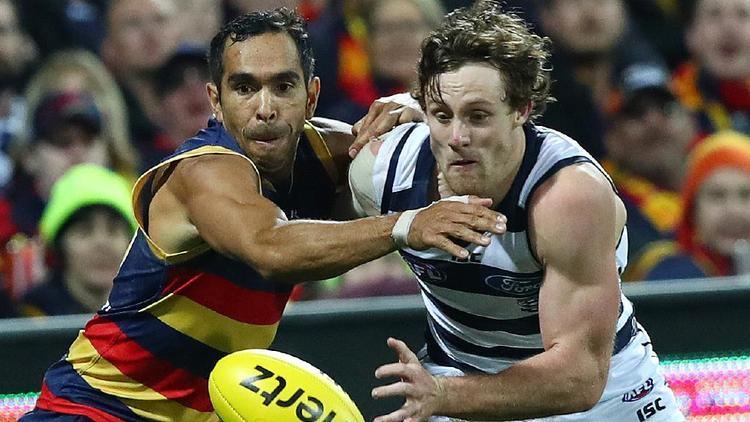 Jed Bews Geelong Cats Should Jed Bews be picked to play on Eddie Betts