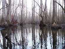 Jeffries Creek httpsuploadwikimediaorgwikipediaenthumbb