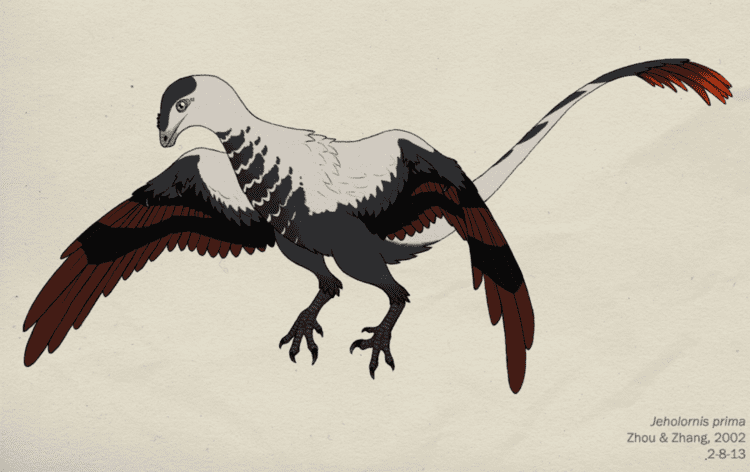 Jeholornis 102JEHOLORNIS PRIMA by GreenMamba on DeviantArt