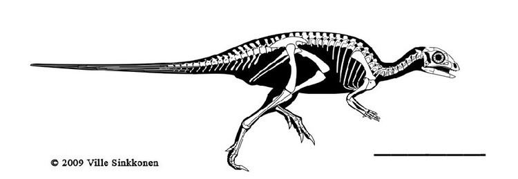 Jeholosaurus Jeholosaurus Pictures amp Facts The Dinosaur Database