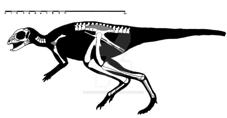 Jeholosaurus jeholosaurus DeviantArt