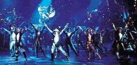 Jellicle cats Jellicle Cats News and Updates