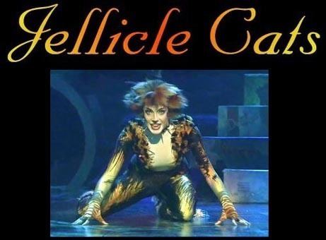 Jellicle cats JELLICLE CATS