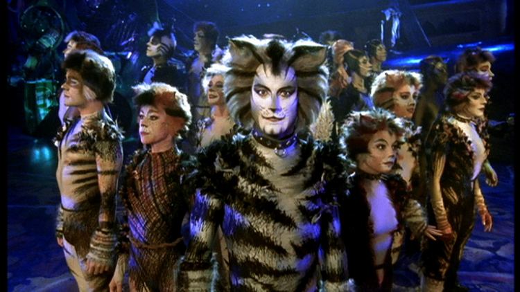 Jellicle cats Cats What Is The Jellicle Ball Great Performances PBS