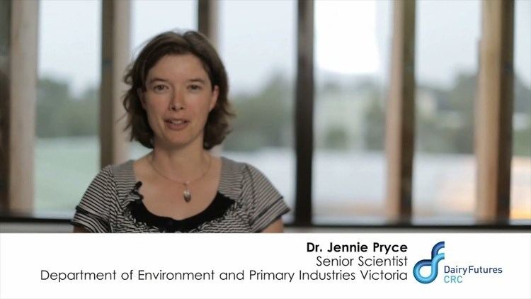 Jennie Pryce Improving feed efficiency Dr Jennie Pryce YouTube