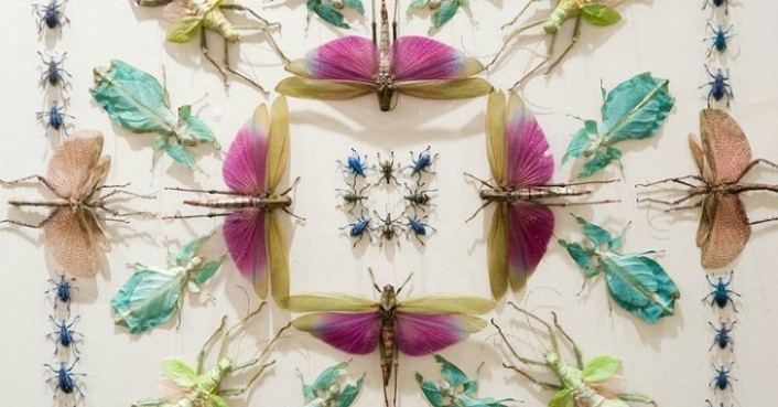 Jennifer Angus Creepy Crawly Kaleidoscopic Bug Installations Wonder and Amaze