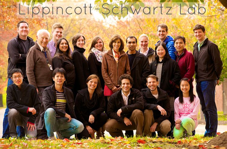 Jennifer Lippincott-Schwartz Home LippincottSchwartz Section on Organelle Biology ScienceNICHD