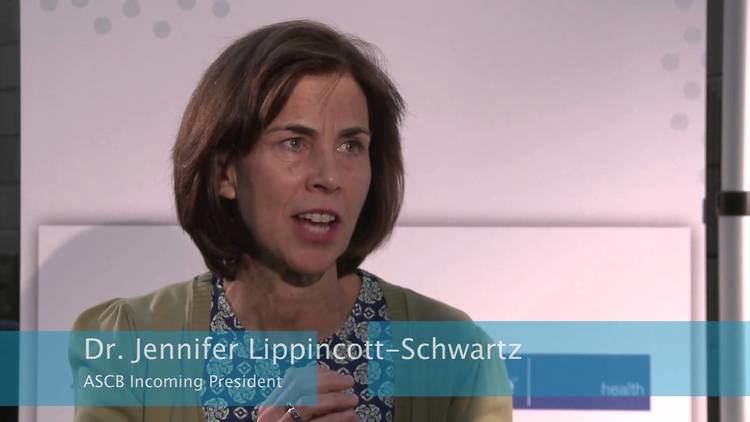 Jennifer Lippincott-Schwartz Interview with Dr Jennifer LippincottSchwartz Incoming ASCB