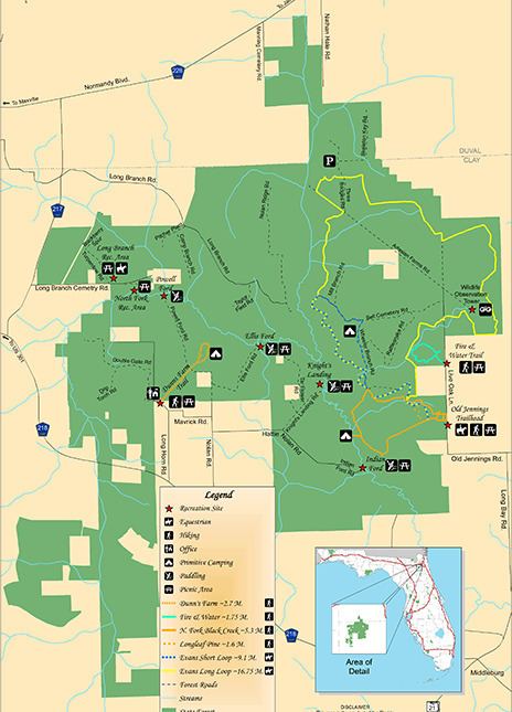 Jennings State Forest wwwfreshfromfloridacomvarezdemositestoragei