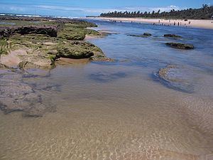 Jequiá River (Alagoas) httpsuploadwikimediaorgwikipediacommonsthu