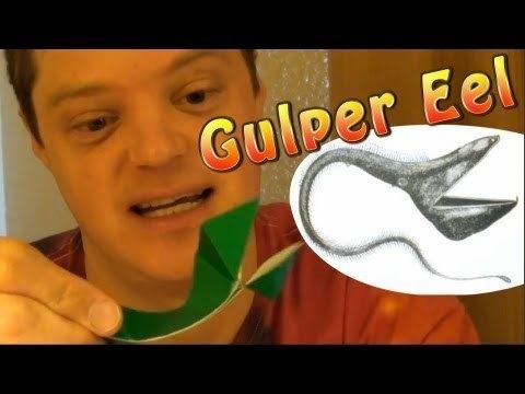 Jeremy Shafer Fold an Origami Gulper Eel by Jeremy Shafer YouTube