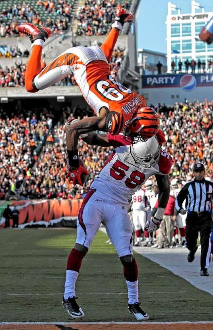 Jerome Simpson VIDEO See Bengals WR flip for TD NY Daily News