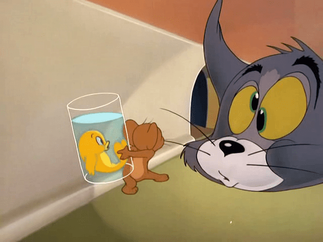 Jerry and the Goldfish Jerry and the Goldfish 56 Tom and Jerry Cartoons