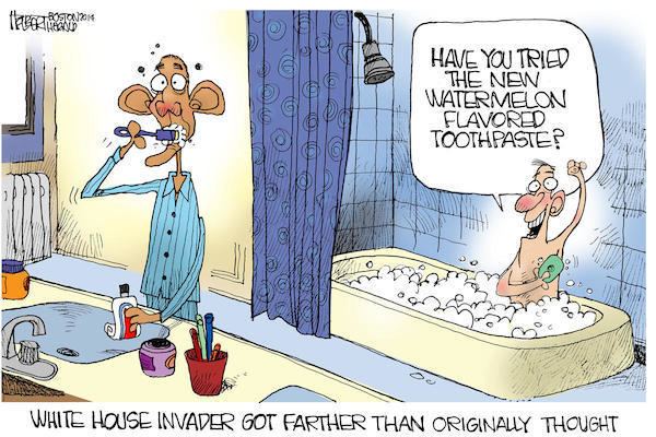 Jerry Holbert Boston Herald Jerry Holbert apologize for Obama Watermelon cartoon