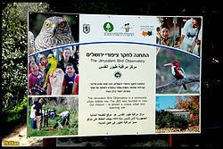 Jerusalem Bird Observatory Jerusalem Bird Observatory Wikipedia
