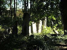 Jewish cemetery in Währing httpsuploadwikimediaorgwikipediacommonsthu