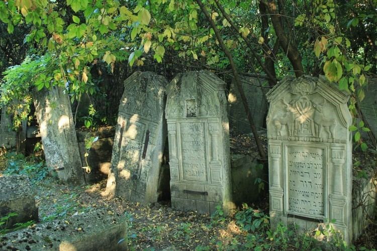 Jewish cemetery of Briceni
