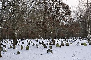 Jewish cemetery of Kleinbardorf httpsuploadwikimediaorgwikipediacommonsthu