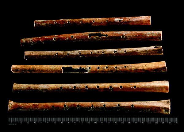 Jiahu Figure 1 Oldest playable musical instruments found at Jiahu early