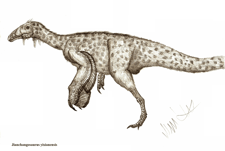 Jianchangosaurus Jianchangosaurus yixianensis by Teratophoneus on DeviantArt