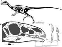 Jianchangosaurus httpsuploadwikimediaorgwikipediacommonsthu