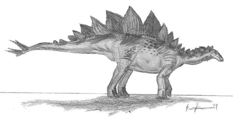 Jiangjunosaurus imagesdinosaurpicturesorgJiangjunosaurusEmpero