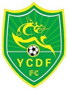 Jiangsu Yancheng Dingli F.C. httpsuploadwikimediaorgwikipediaenthumb7