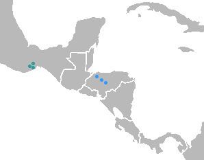 Jicaquean languages