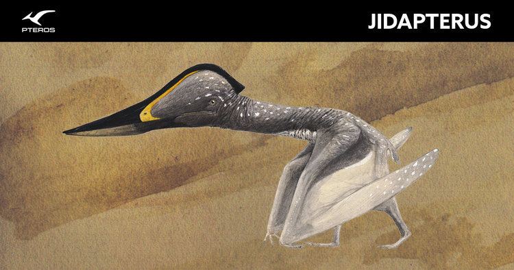 Jidapterus Jidapterus Pteros