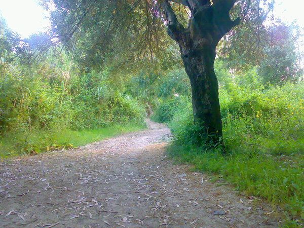 Jijel Beautiful Landscapes of Jijel