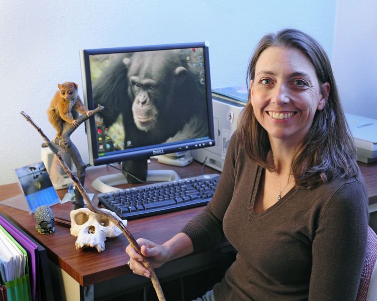 Jill Pruetz Wild chimps have near human understanding of fire says study by