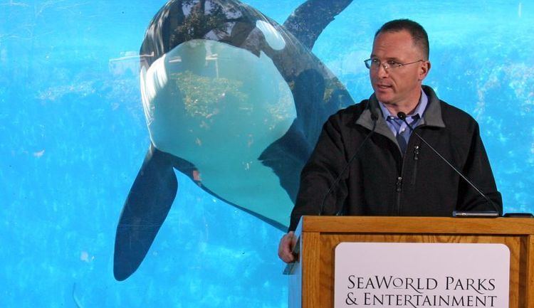 Jim Atchison SeaWorld is replacing CEO Jim Atchison Fortune