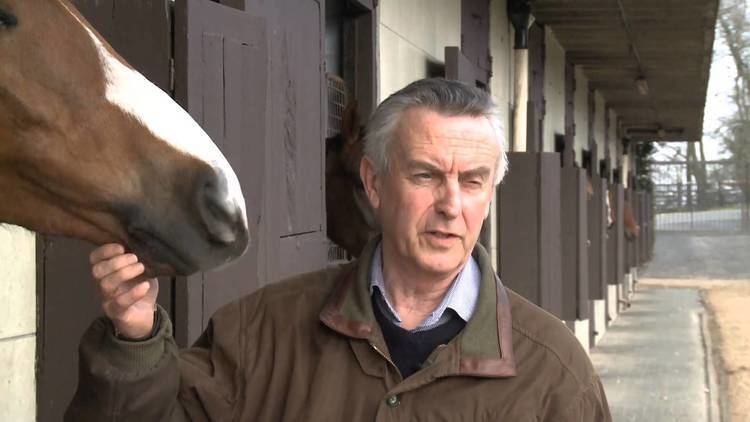 Jim Bolger (racehorse trainer) httpsiytimgcomviMwicBP1TYmaxresdefaultjpg