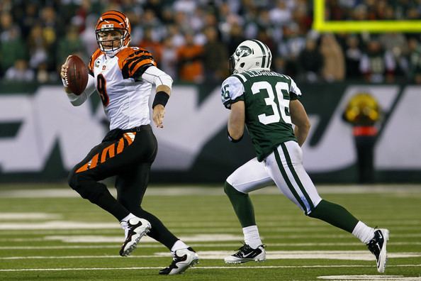 Jim Leonhard Jim Leonhard Photos Cincinnati Bengals v New York Jets