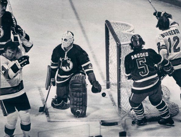 Jim Shaw (ice hockey) Jim Shaw in goal for the Toronto Toros of the WHA Hockey