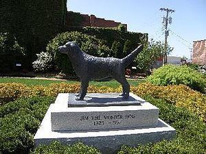 Jim the Wonder Dog Jim the Wonder Dog Wikipedia
