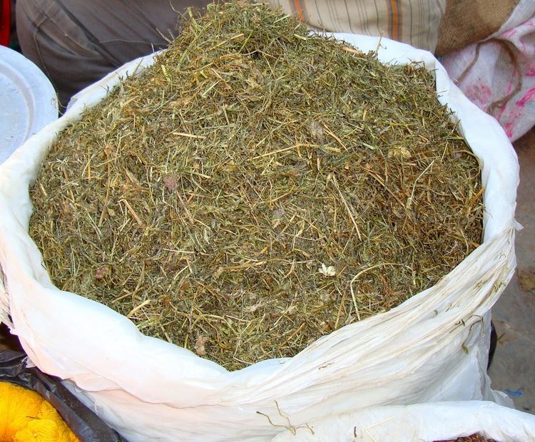 Jimbu Taste of Nepal Himalayan Herb Jimbu dried leaves of a local onion