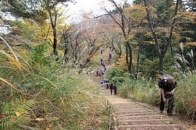 Jinba Sagamiko Prefectural Natural Park httpsuploadwikimediaorgwikipediacommonsthu