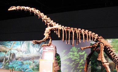 Jingshanosaurus Jingshanosaurus Dinosaur facts information Jingshanosaurus