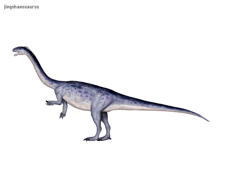 Jingshanosaurus Jingshanosaurus by cisiopurple on DeviantArt