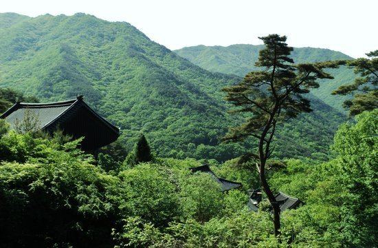 Jirisan National Park Jirisan National Park South Korea Asia Top Tips Before You Go